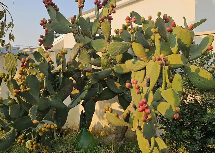 Minoa Relax Гостевой дом *